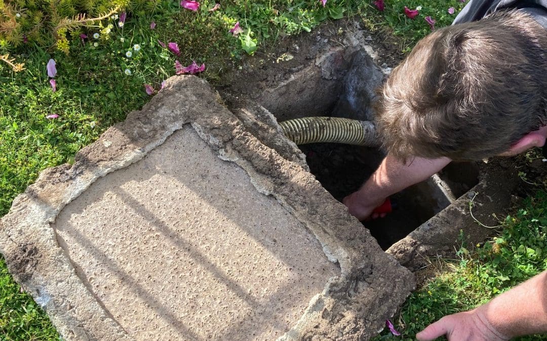 Rodent Proofing in Dursley