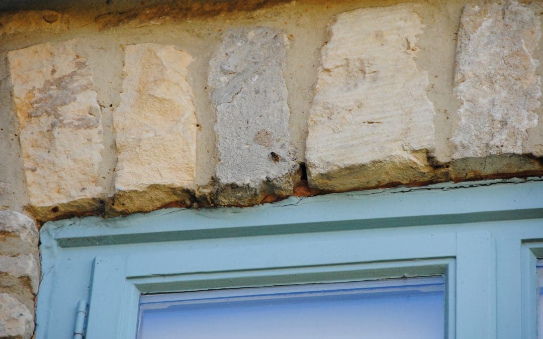 Wasp Nest Wotton Under Edge