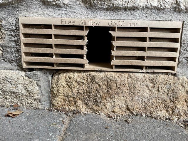 Rat Vent Hole