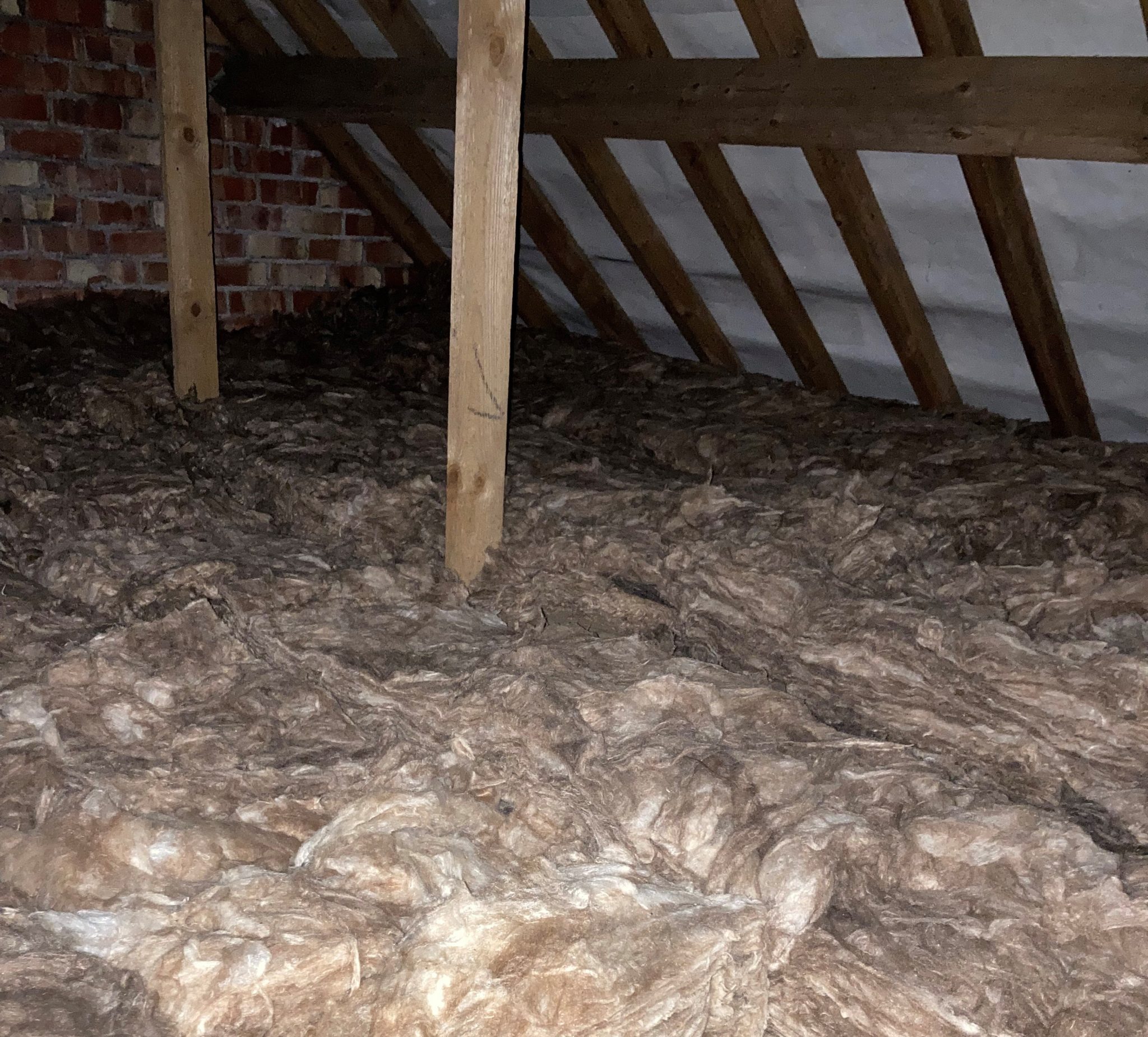 Rodent loft clean in Dursley