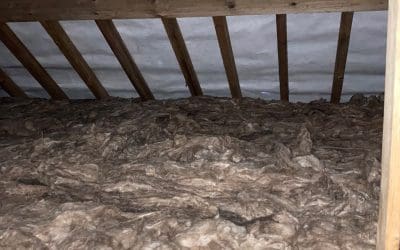 Loft Clean in Dursley – No More Mouse Droppings!