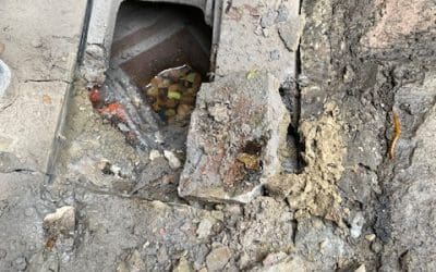 Rat Proofing – Gully Repair in Dursley