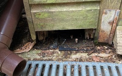 Rat Proofing in Dursley