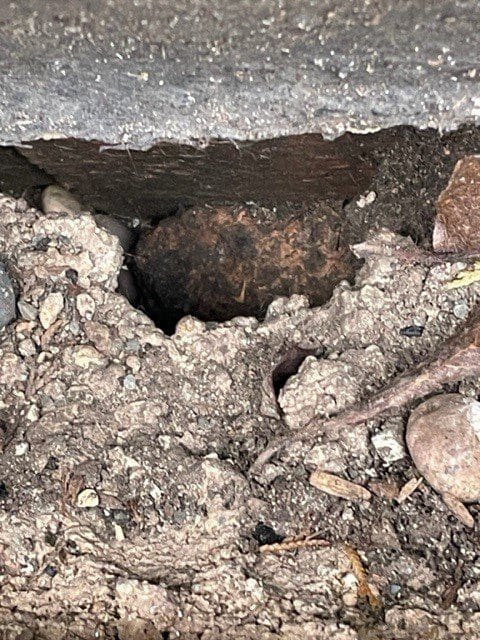 Rat hole Stonehouse